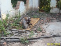 /album/fundacaototozinho/a029-jpg/
