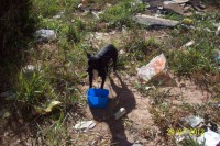 /album/fundacaototozinho/a032-jpg/