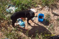 /album/fundacaototozinho/a034-jpg/