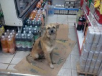 /album/fundacaototozinho/a23-06-12-22-54-jpg1/