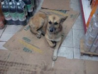 /album/fundacaototozinho/a23-06-12-22-55-jpg1/
