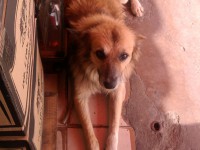 /album/fundacaototozinho/foto0719-jpg1/