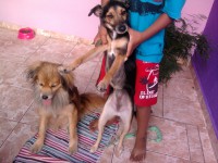 /album/fundacaototozinho/foto0733-jpg1/