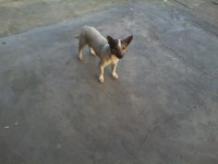 /album/fundacaototozinho/img00058-jpg1/