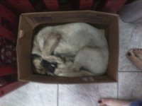 /album/fundacaototozinho/img00080-jpg1/