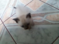 /album/fundacaototozinho/foto-0019-jpg1/