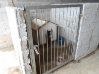 /album/fundacaototozinho/a041-jpg/