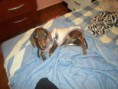 /album/galeria-de-fotos-pagina-inicial4/a041-jpg2/