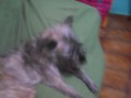 /album/galeria-de-fotos-pagina-inicial4/a010-jpg4/