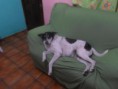 /album/galeria-de-fotos-pagina-inicial4/a031-jpg2/